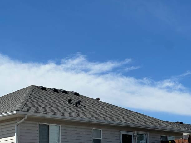 Best Commercial Roofing Services  in Blue Island, IL